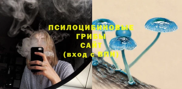 шишки Белокуриха