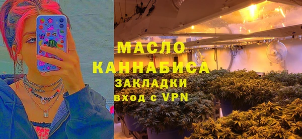 шишки Белокуриха