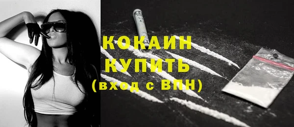 шишки Богданович