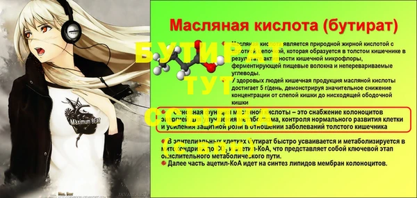 шишки Белокуриха