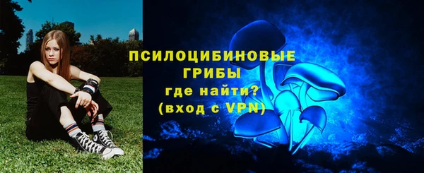 дживик Белоозёрский