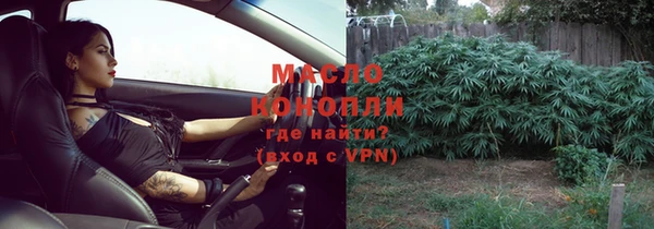 шишки Белокуриха