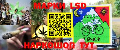 прущие грибы Малоярославец